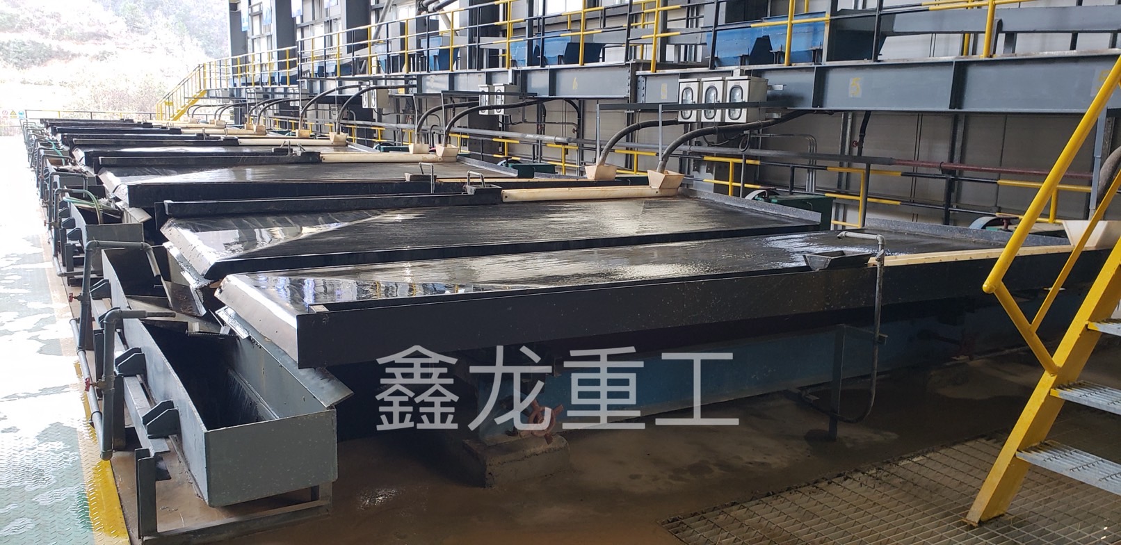 1723087679578028.jpg 3.jpg